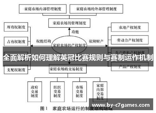 全面解析如何理解英冠比赛规则与赛制运作机制