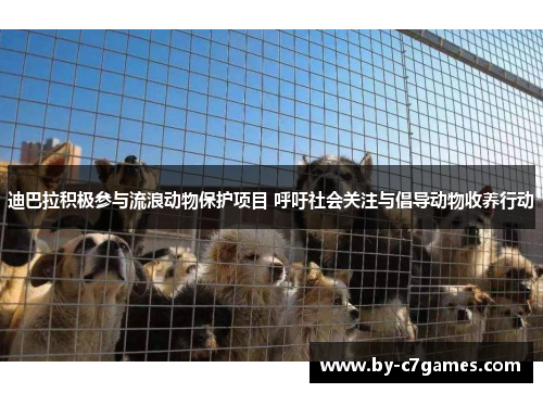 迪巴拉积极参与流浪动物保护项目 呼吁社会关注与倡导动物收养行动