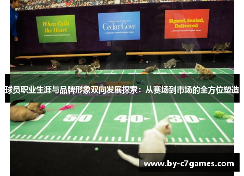 球员职业生涯与品牌形象双向发展探索：从赛场到市场的全方位塑造